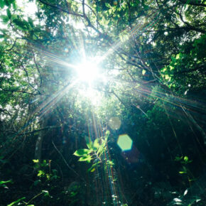 z7357399284677_ad9003f2dfab1edd75a8fe83d7fc4fd7 