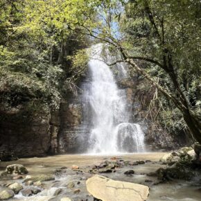 z7361879666913_1f7f7c7f0a7f0739a2528b47962a739a 