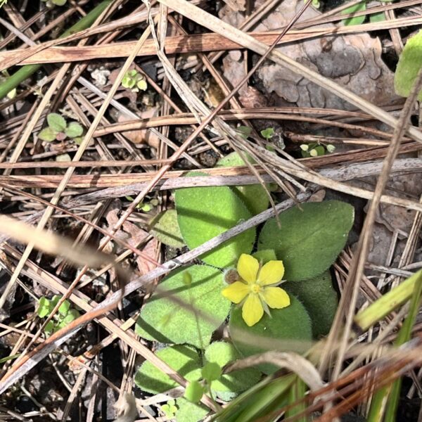 z7361881424442_60021f6c1f93b3aa76fb698a394488f1