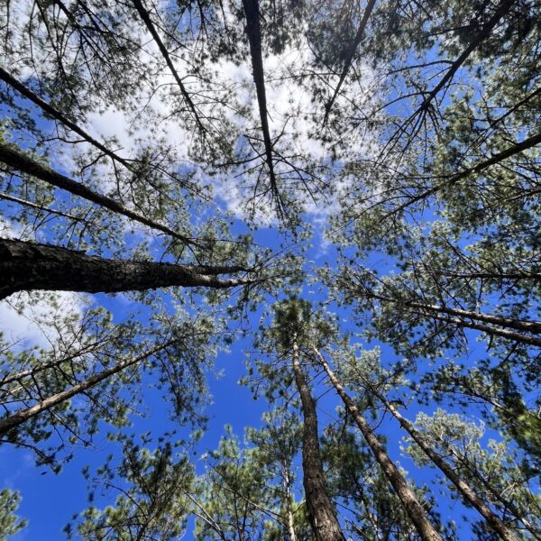 z7361886347608_85ff34dd6bc15d6d2c21ec9af334a495