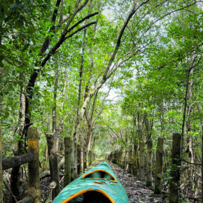 04BB36E4-B13D-450B-98DD-E17DF56A6ECA 