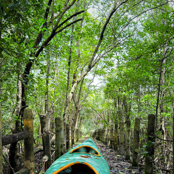 04BB36E4-B13D-450B-98DD-E17DF56A6ECA