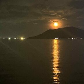 276441ef-520f-4854-a57a-4577bbf9aa2c 