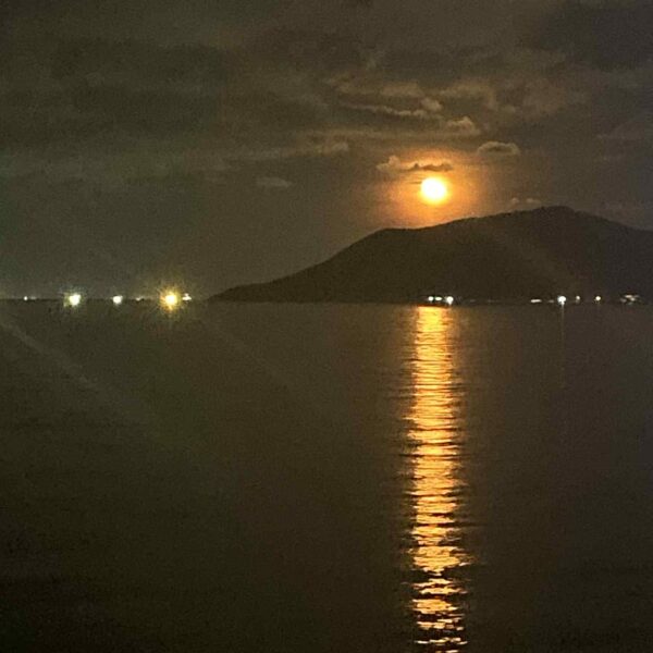 276441ef-520f-4854-a57a-4577bbf9aa2c