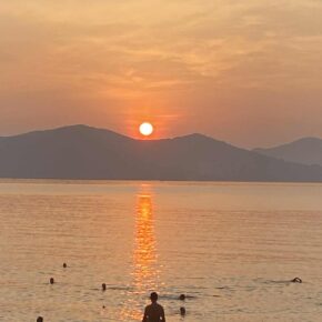 393805ec-8e98-433e-a90f-c89369a84b20 