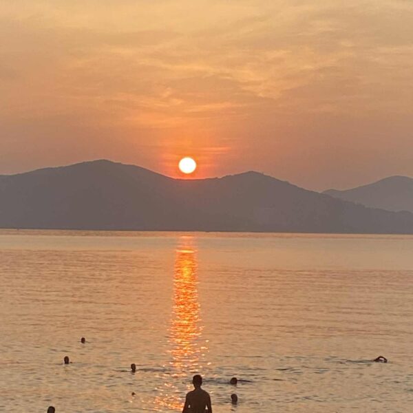 393805ec-8e98-433e-a90f-c89369a84b20