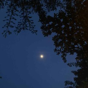 45da81fb-e975-46df-9a7c-ec2c8470cfe5 