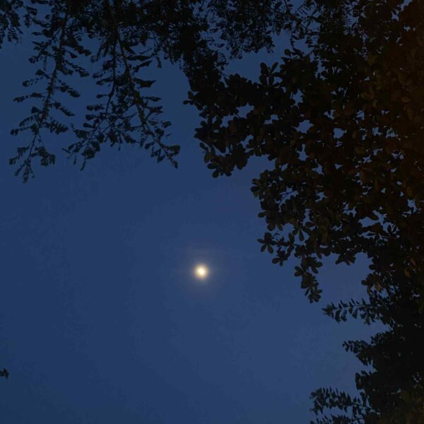 45da81fb-e975-46df-9a7c-ec2c8470cfe5