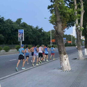 70dcdb11-3c1b-437d-a6d3-7d6329ae3d40 