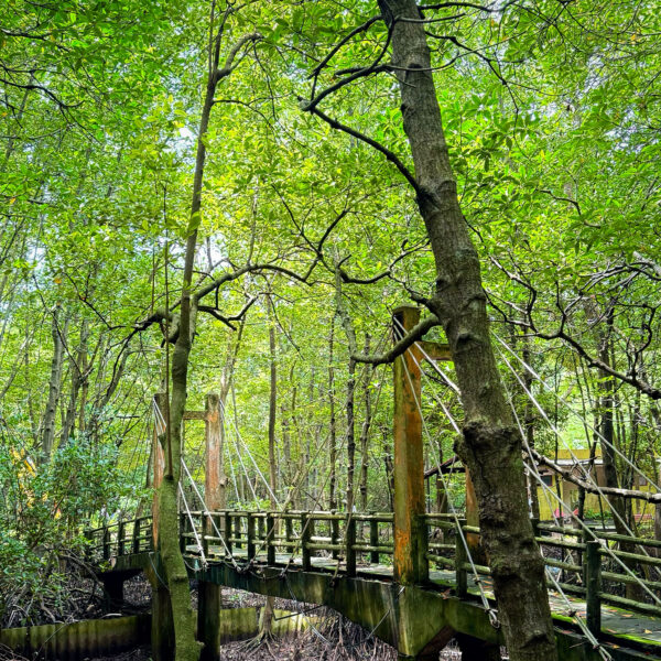 915926CD-570D-453B-8F21-EEA542E9B8AA