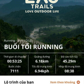 96aad5bb-e646-43d7-b969-ddd745bf1e5e 