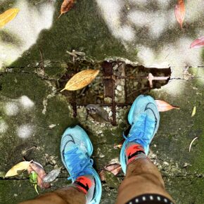 IMG_6401_SnapseedCopy 