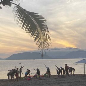 d5685b6f-7dcc-4201-98fb-1143804f34db 