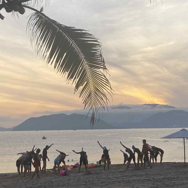 d5685b6f-7dcc-4201-98fb-1143804f34db