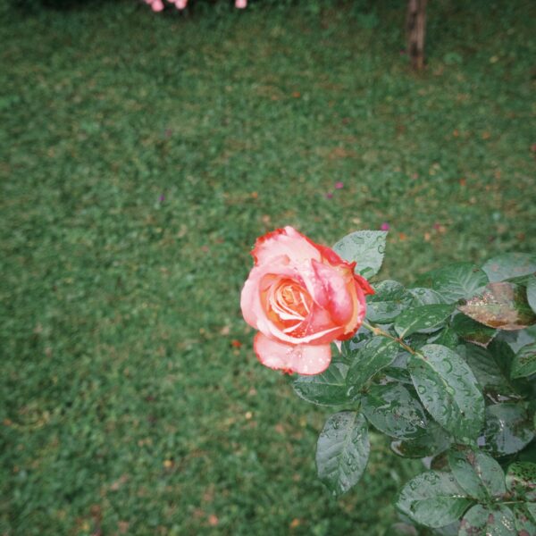 fxn 2025-10-10 162036.253