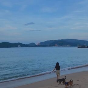 8dca1b3e-1823-4da3-b22c-3061b829f6d2 