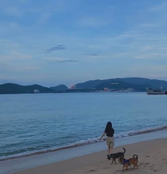 8dca1b3e-1823-4da3-b22c-3061b829f6d2