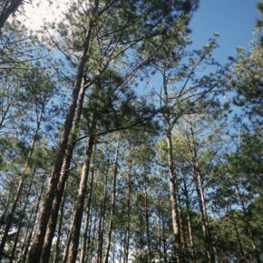 fxn 2025-11-08 085658.994 