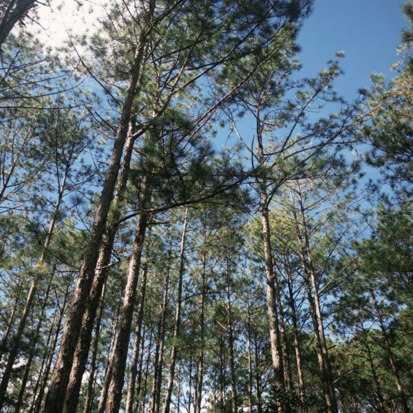 fxn 2025-11-08 085658.994