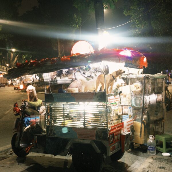 fxn 2025-12-05 224338.469